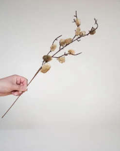 Shoppe At The Avenue Home Decor>Botanical Sage - Sweet Water Decor