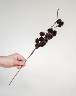 Shoppe At The Avenue Home Decor>Botanical Sage Flower Stem