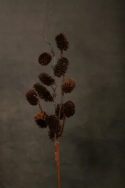 Shoppe At The Avenue Home Decor>Botanical Sage Flower Stem