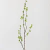 Afloral.com Florals & Greenery>Branch with Green Buds