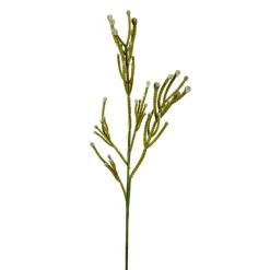 Shoppe At The Avenue Home Decor>Cactus Spray - Sweet Water Decor