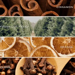 Sweet Water Decor Reed Diffusers|Reed Diffusers><noscript><img width=