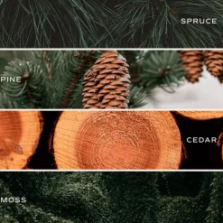 Sweet Water Decor Reed Diffusers|Reed Diffusers><noscript><img width=