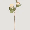Afloral.com Florals & Greenery>Dried Look Fake Roses in Beige