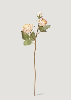 Afloral.com Florals & Greenery>Dried Look Fake Roses in Beige