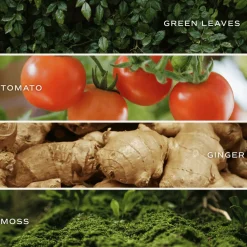 Sweet Water Decor Candles|15 Oz Matte Jars><noscript><img width=