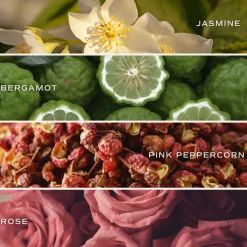 Sweet Water Decor Candles|9 Oz Clear Jars><noscript><img width=