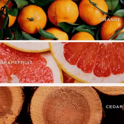 Sweet Water Decor Candles|Patterned Candles><noscript><img width=