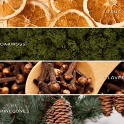 Sweet Water Decor Candles|9 Oz Clear Jars><noscript><img width=