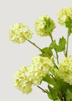 Afloral.com Florals & Greenery>Honeydew Green Snowball Flower Bundle