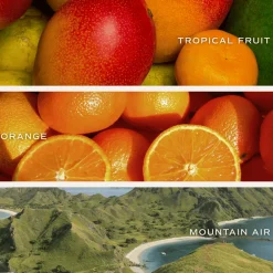 Sweet Water Decor Candles|12 Oz Tinted Jars><noscript><img width=