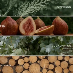 Sweet Water Decor Candles|Patterned Candles><noscript><img width=