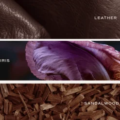 Sweet Water Decor Reed Diffusers|Reed Diffusers><noscript><img width=