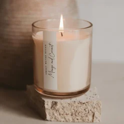 Sweet Water Decor Candles|12 Oz Tinted Jars>Mango and Coconut - 12 oz