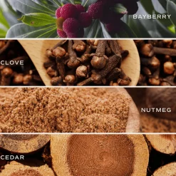 Sweet Water Decor Candles|11 Oz White Jars><noscript><img width=