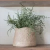 Shoppe At The Avenue Home Decor>Paper Mache Vessel
