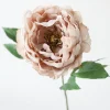 Afloral.com Florals & Greenery>Peony Flower in Taupe Mauve