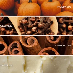 Sweet Water Decor Reed Diffusers|Reed Diffusers>Pumpkin Spice