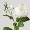 Afloral.com Florals & Greenery>Real Touch English Rose with Bud