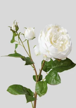 Afloral.com Florals & Greenery>Real Touch English Rose with Bud