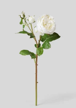 Afloral.com Florals & Greenery><noscript><img width=