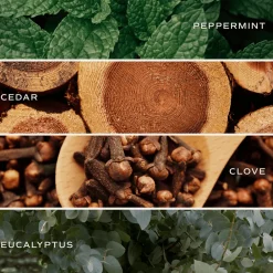 Sweet Water Decor Reed Diffusers|Reed Diffusers><noscript><img width=