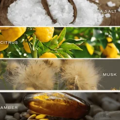 Sweet Water Decor Air Fresheners><noscript><img width=