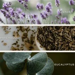 Sweet Water Decor Candles><noscript><img width=