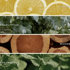 Sweet Water Decor Reed Diffusers|Reed Diffusers><noscript><img width=