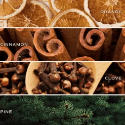 Sweet Water Decor Reed Diffusers|Reed Diffusers>Warm and Cozy