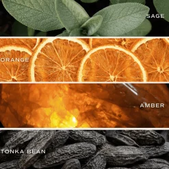 Sweet Water Decor Reed Diffusers|Reed Diffusers><noscript><img width=